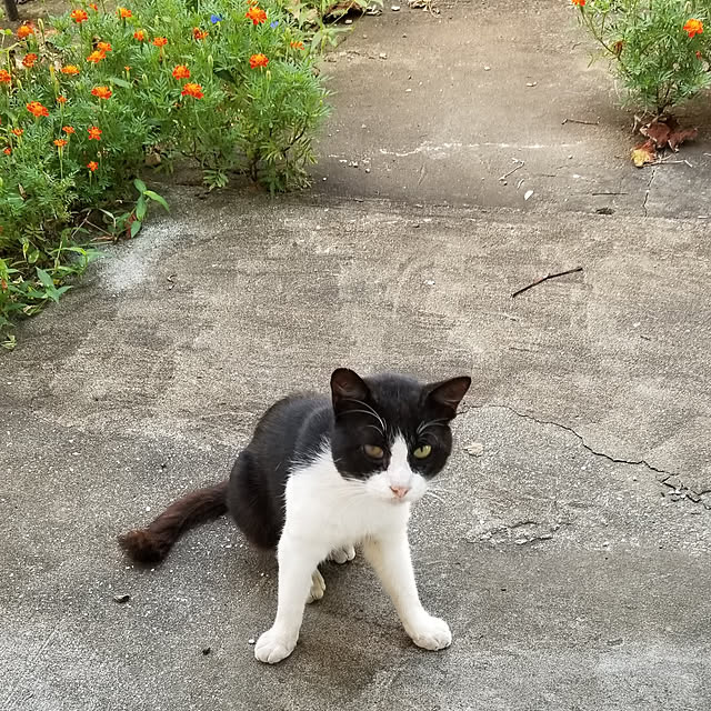 mimoさんの実例写真