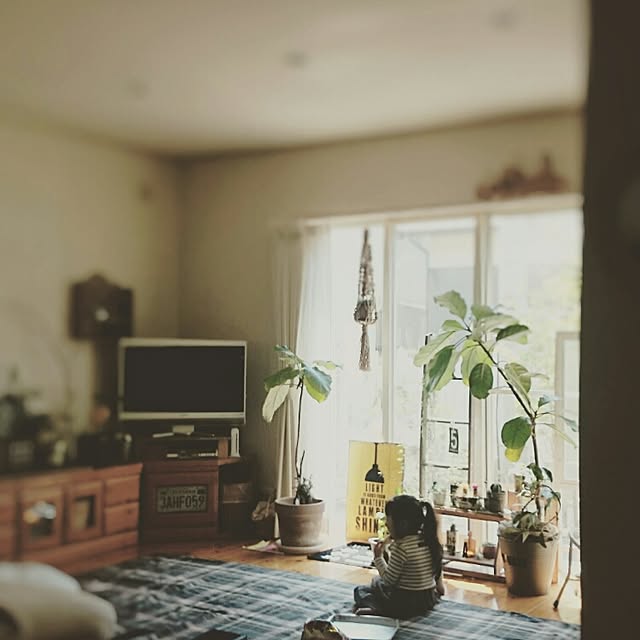 naoonさんの実例写真