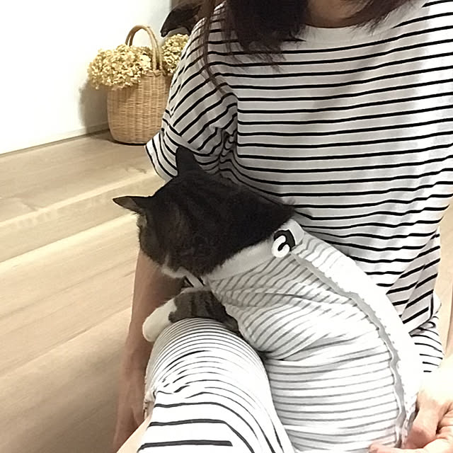houenさんの実例写真