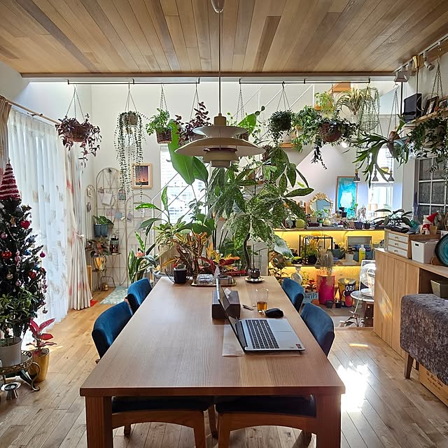 nonbiri_house_さんの部屋