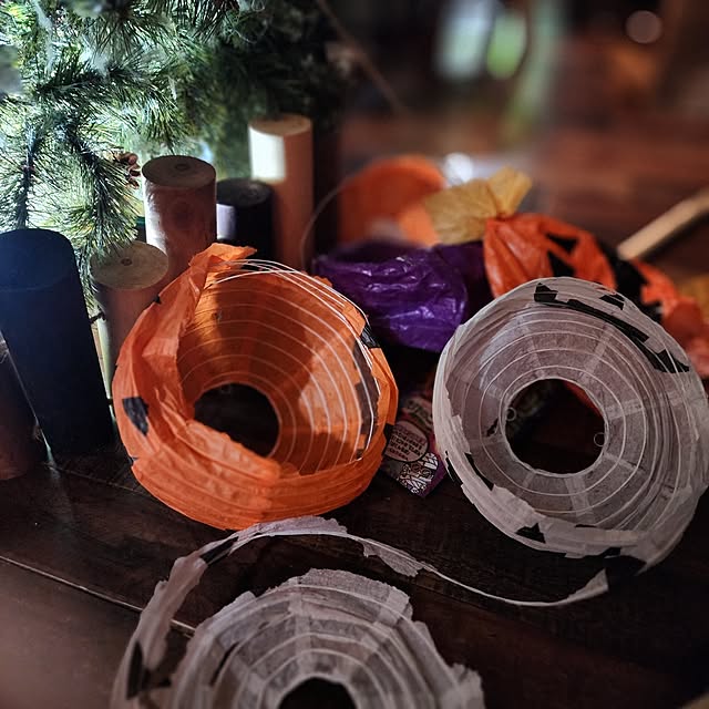 CYNOSさんの部屋