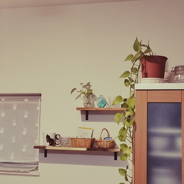 uriさんの実例写真