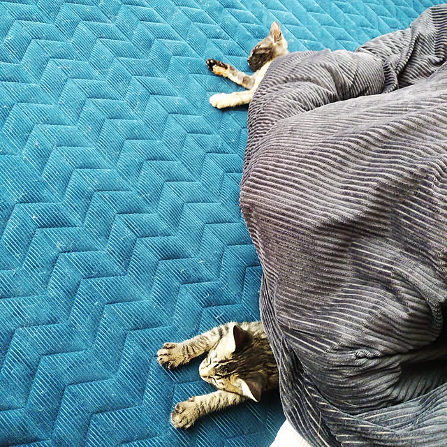 annさんの実例写真