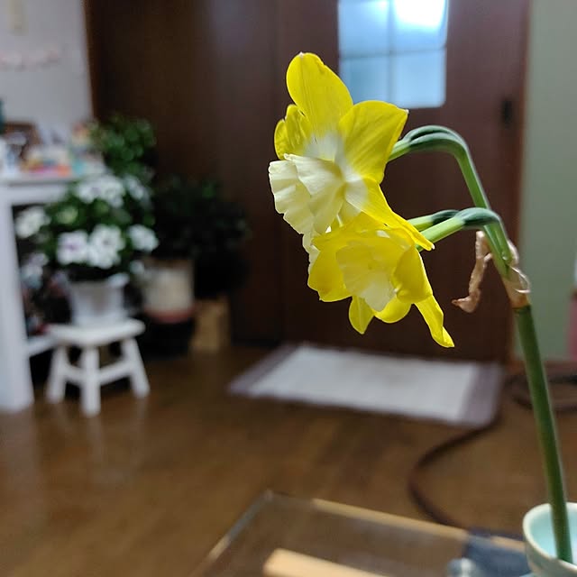 kiraさんの実例写真