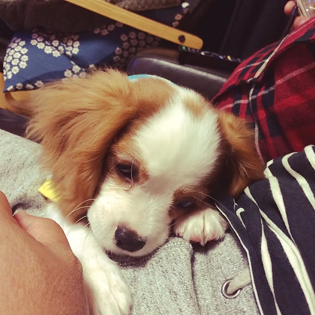 77さんの実例写真