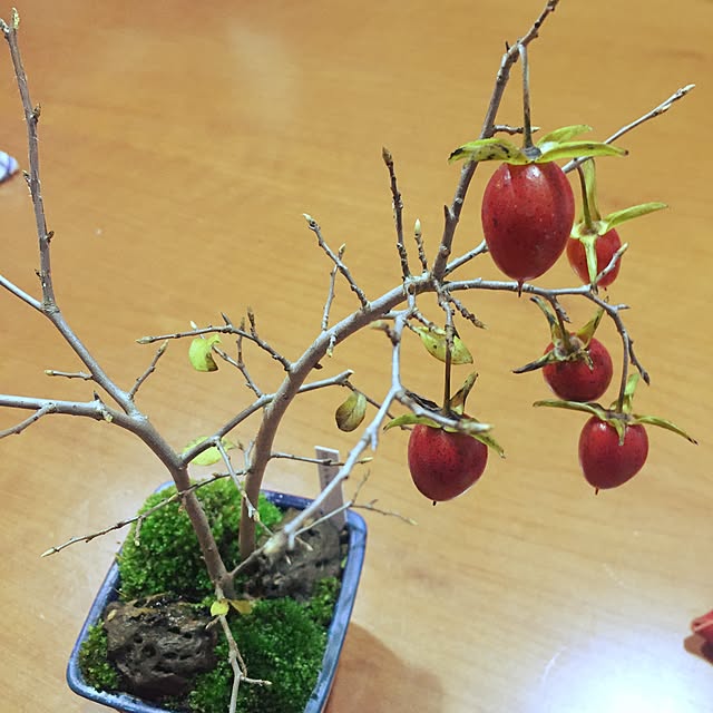 keitinさんの実例写真