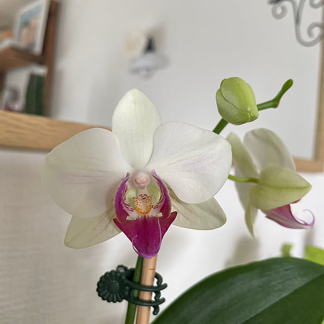 sata9さんの部屋