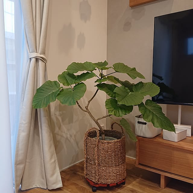 otokiさんの部屋