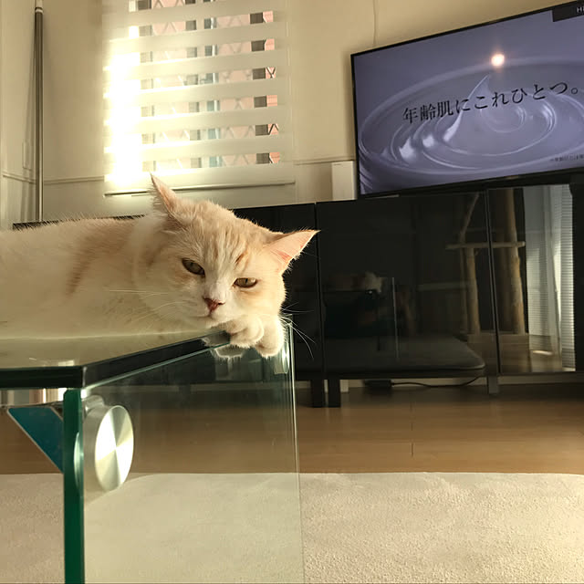 H.Tさんの実例写真