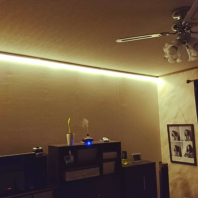 chanさんの実例写真
