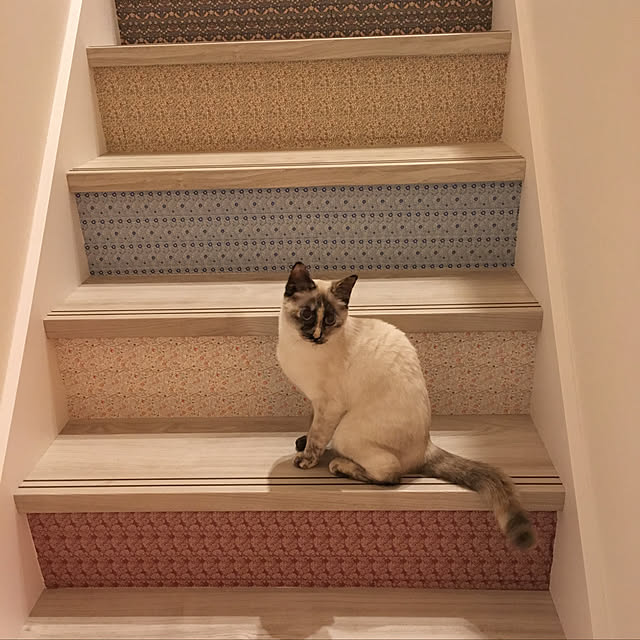 miyaさんの実例写真