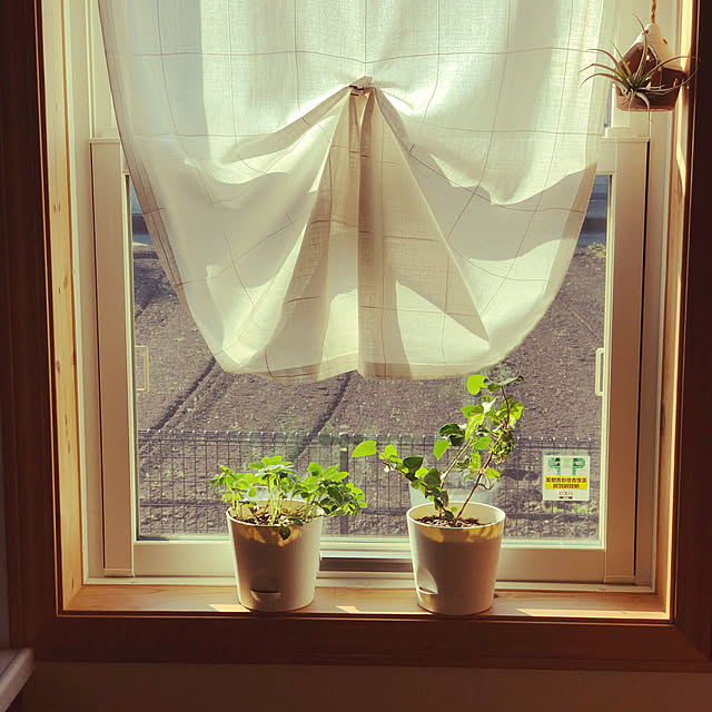 miyaさんの実例写真