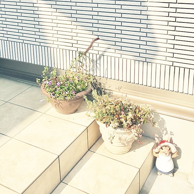 aririさんの実例写真