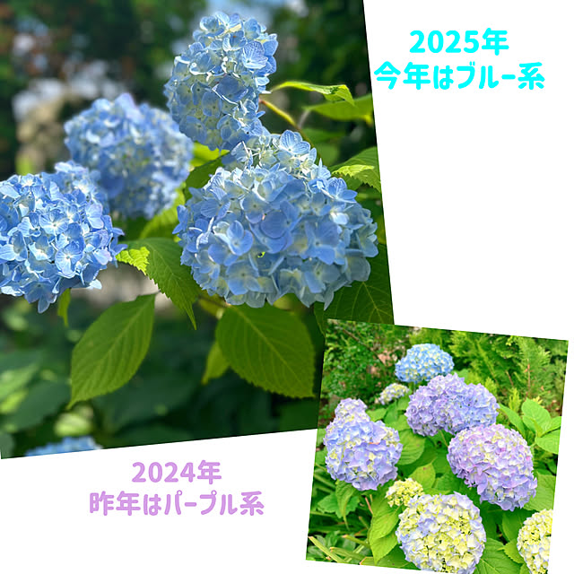 sunabaさんの部屋