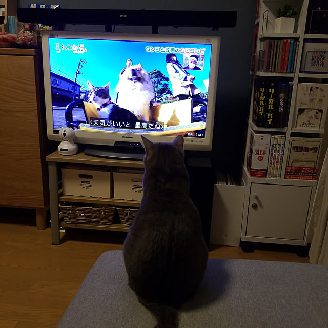 yukiさんの実例写真