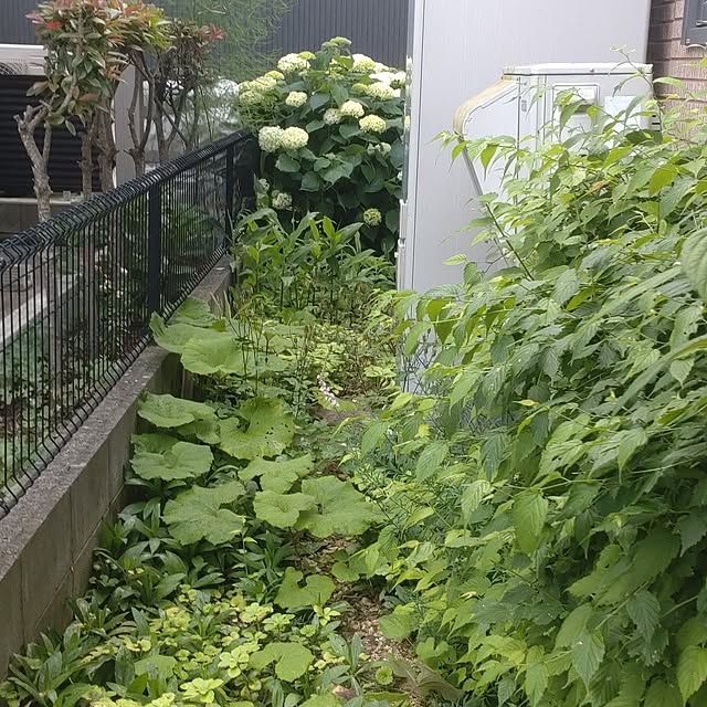 Hujikoさんの部屋