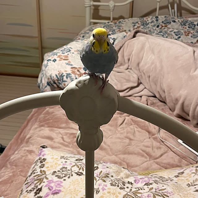 Atsukoさんの部屋