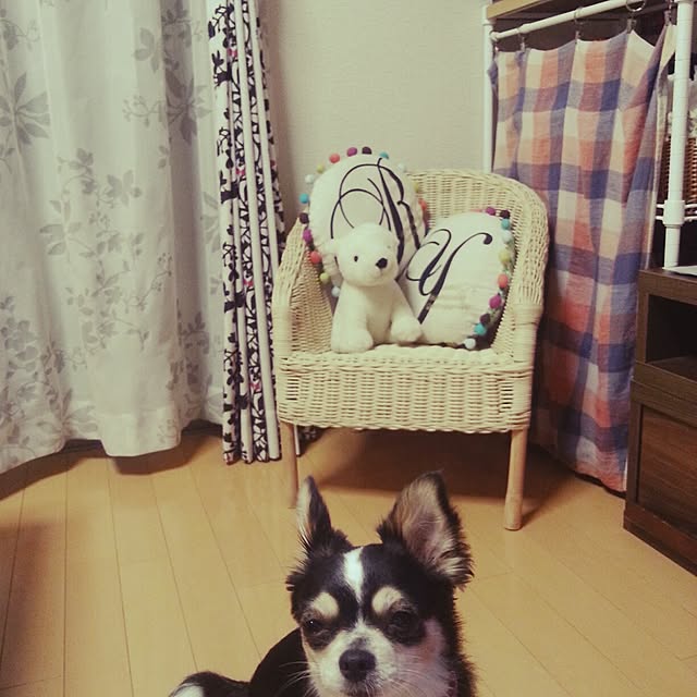 rponさんの実例写真