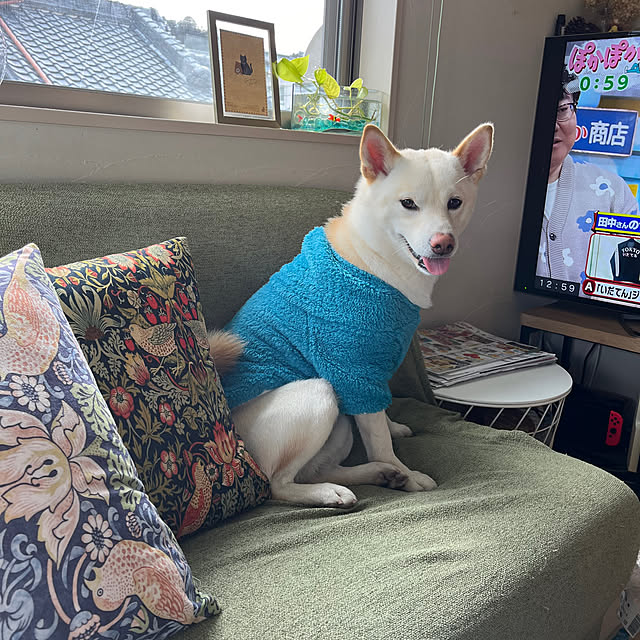 Toyomiさんの実例写真