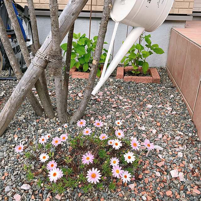 naosunnyさんの実例写真