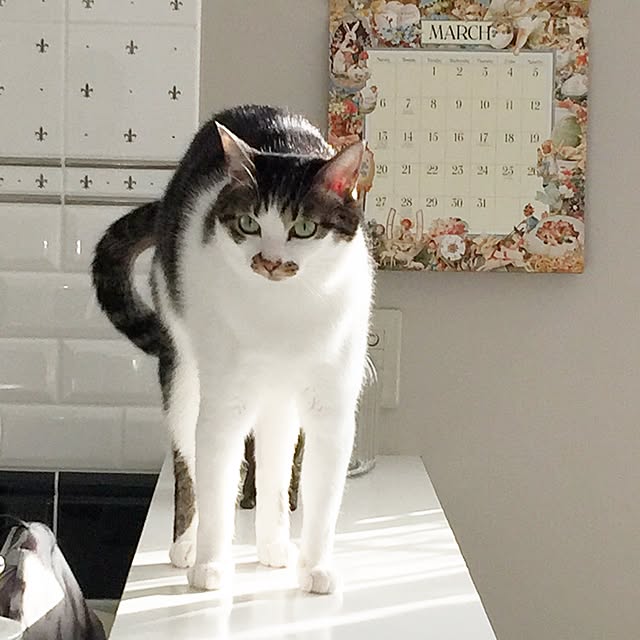 yuchiさんの実例写真