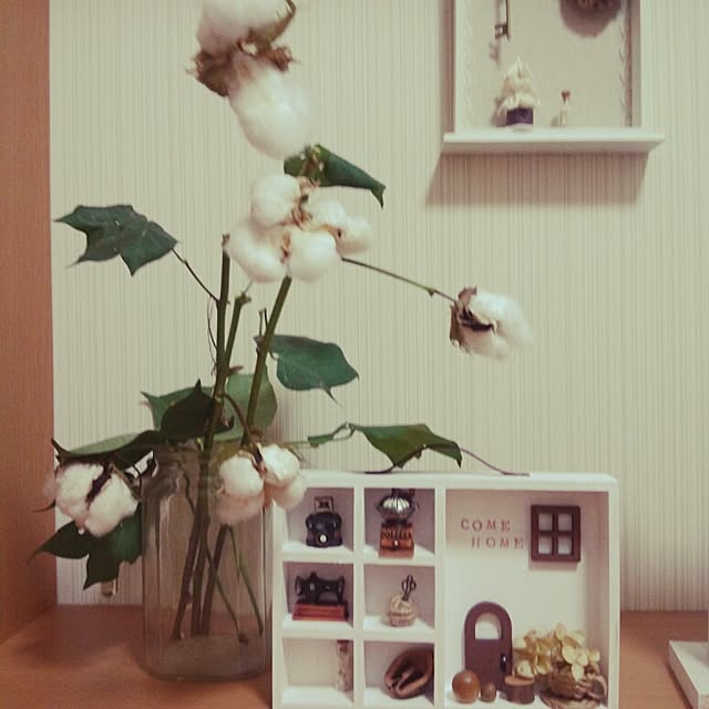 junさんの実例写真