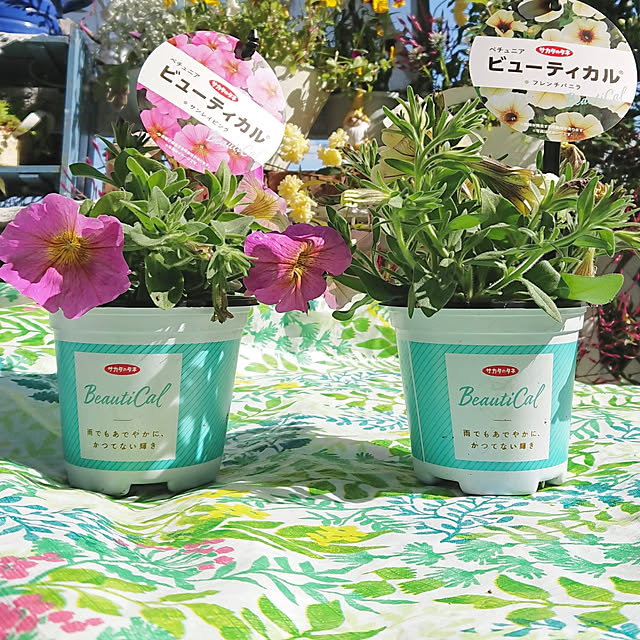 rumiさんの実例写真