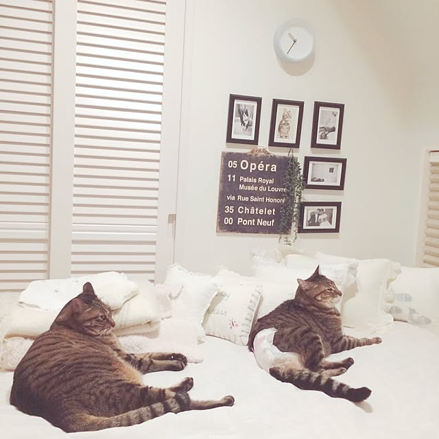 lovecatさんの実例写真