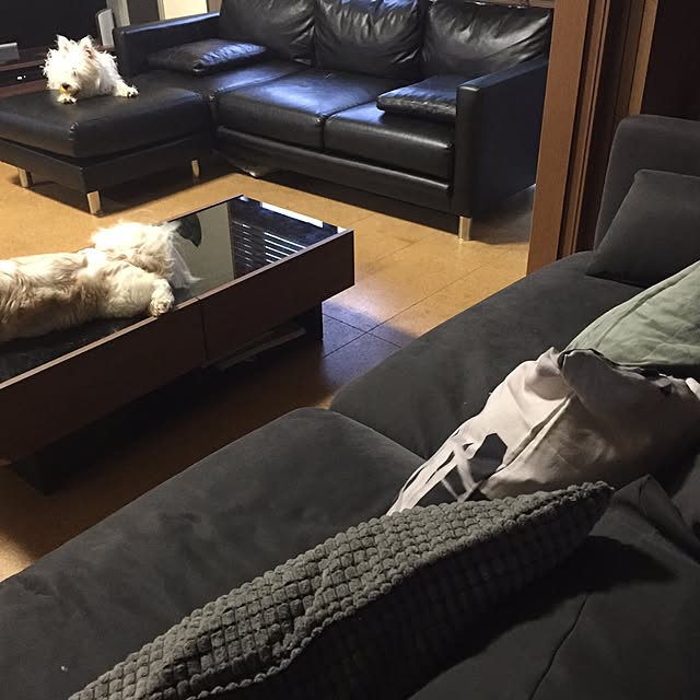 june.0107さんの実例写真