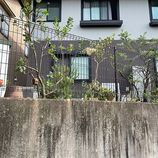 kikiさんの部屋