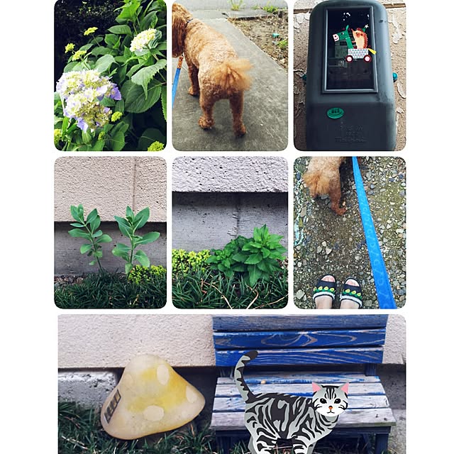 cherrycherryさんの実例写真