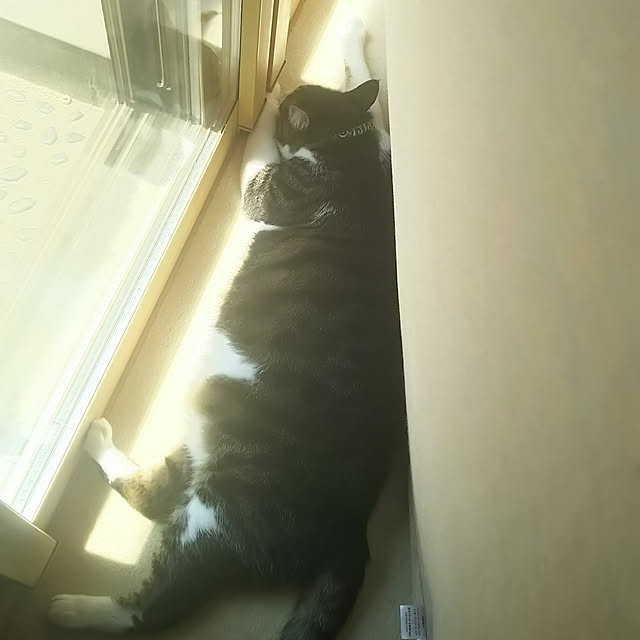 SweetFlow.さんの実例写真