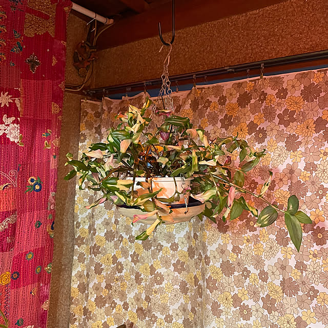 shin0719さんの部屋