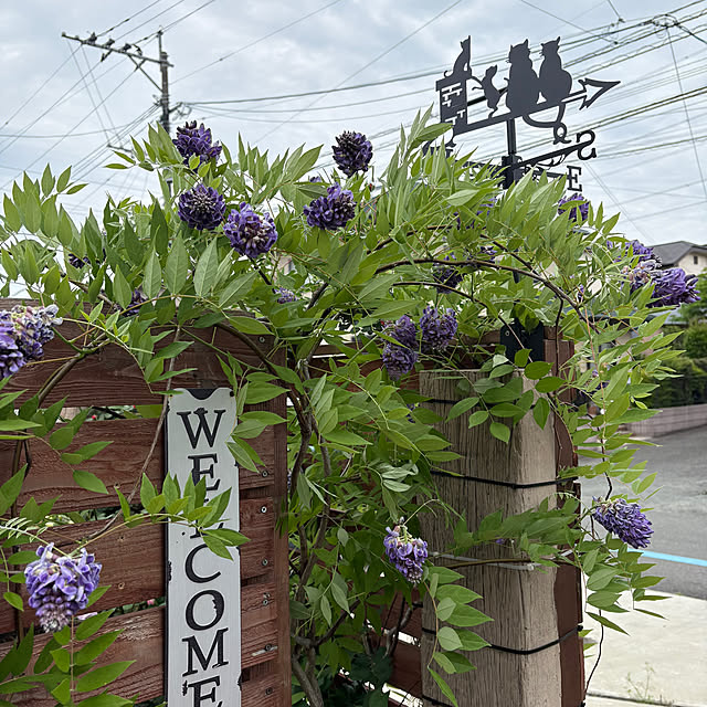 mayumiさんの部屋