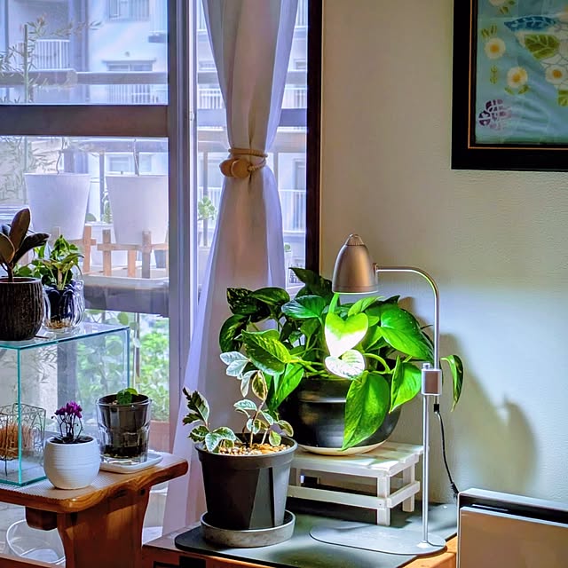 mi-saさんの部屋