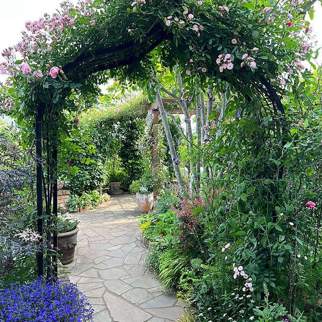 Royal_Gardeners_Clubさんの実例写真