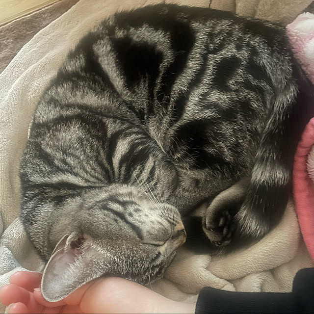 yumiさんの実例写真