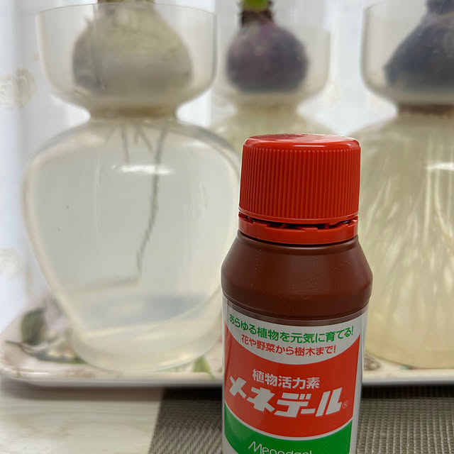 fumikoiさんの部屋