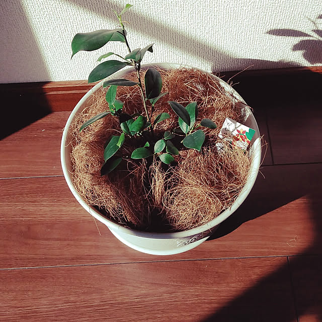yu24さんの実例写真