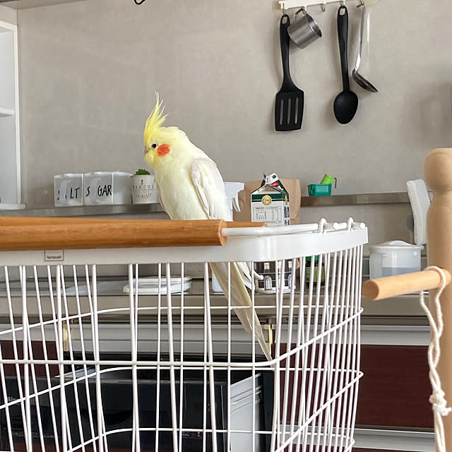 toratanさんの部屋