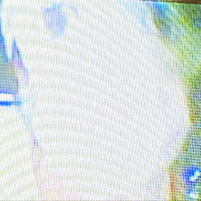 ohanaさんの実例写真