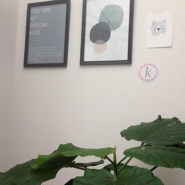Megu5319さんの実例写真