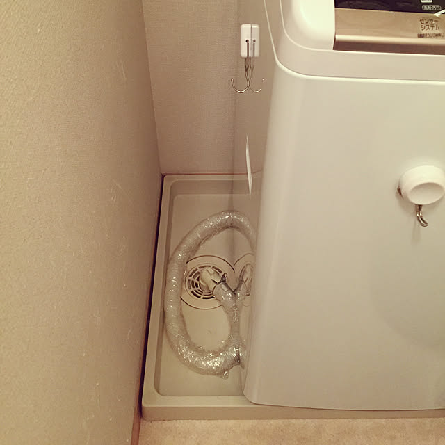 satomiさんの実例写真