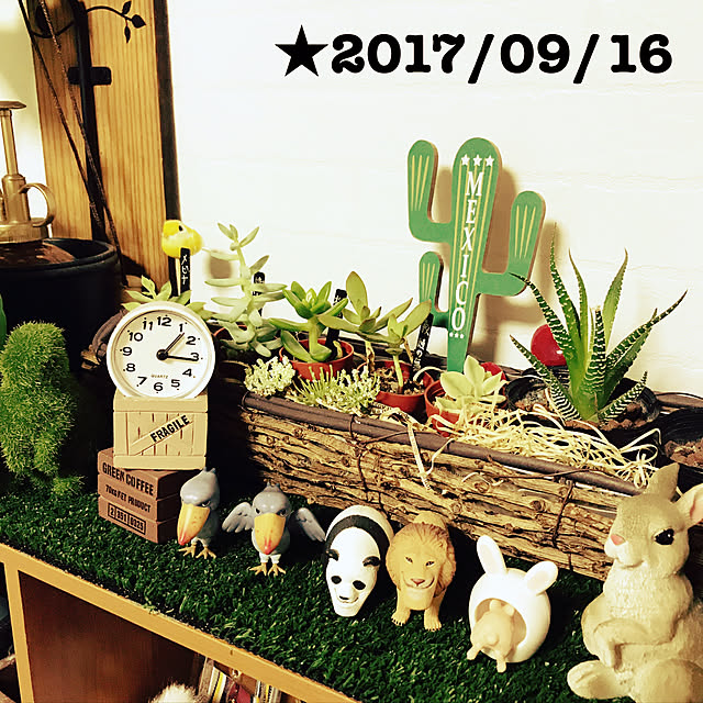 Mackey86さんの実例写真
