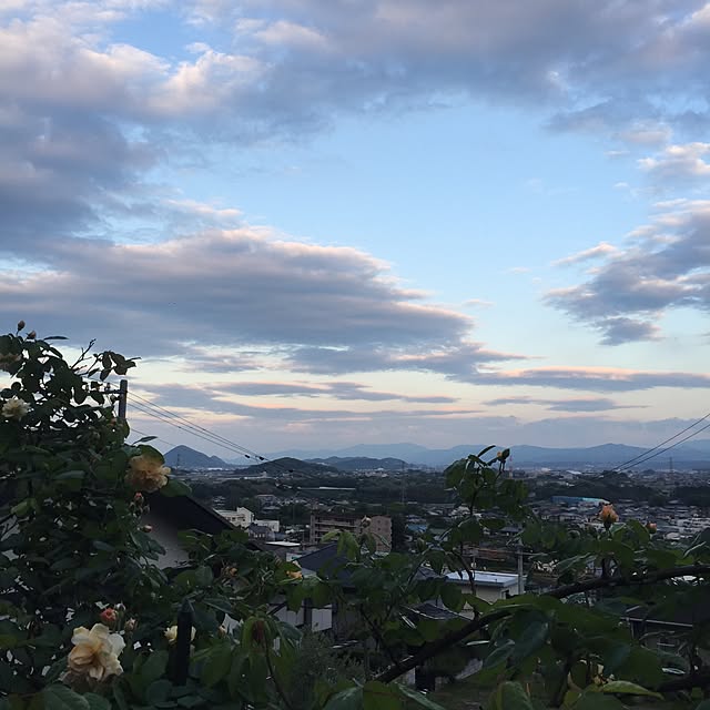 実例写真
