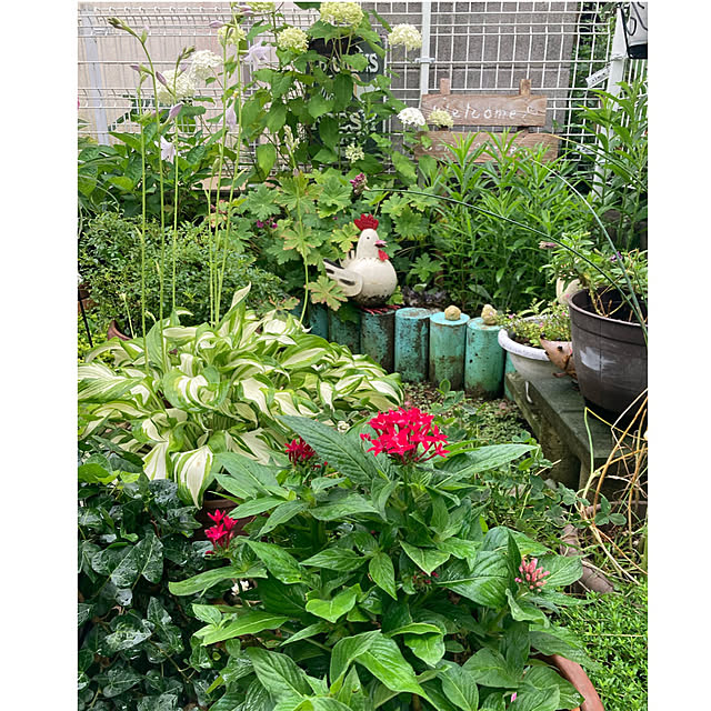 CoCo0617さんの実例写真