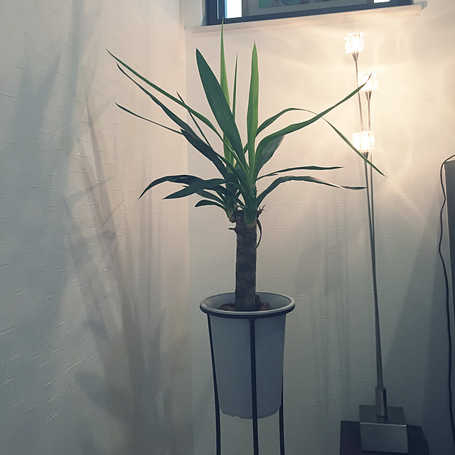 cocoさんの実例写真