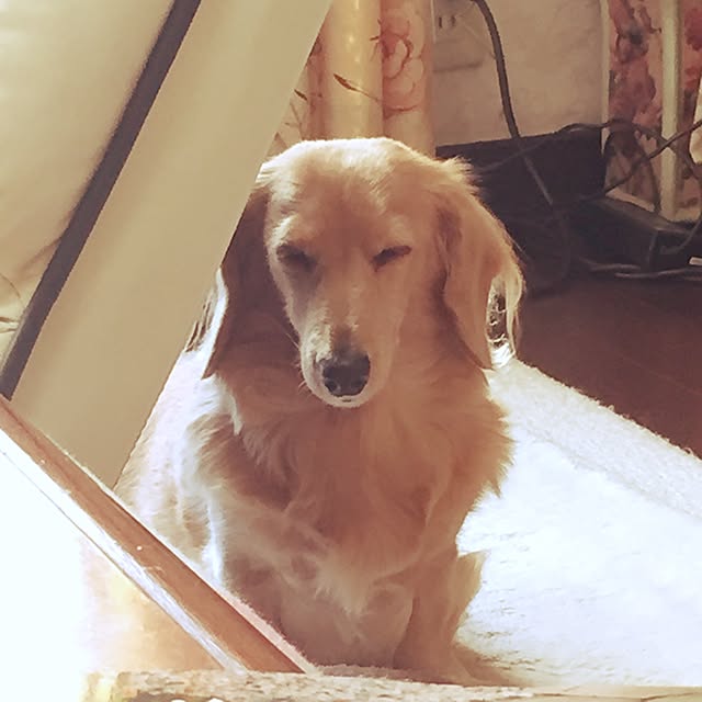 bibianさんの実例写真