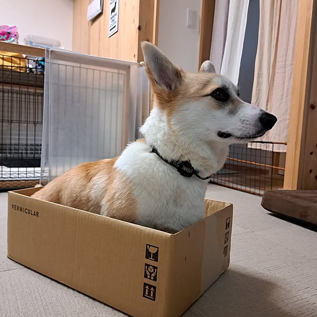 kazuraさんの部屋