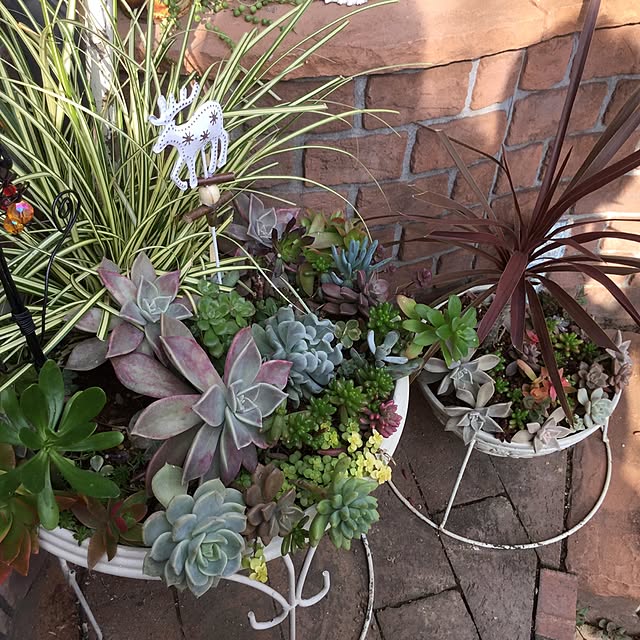 mukkuさんの実例写真